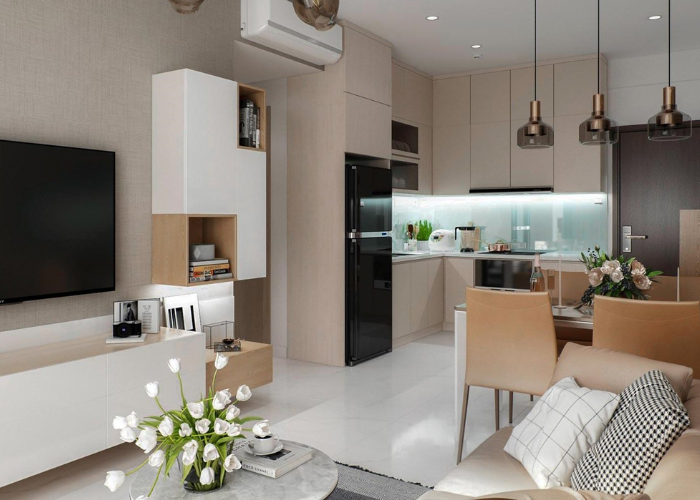 Tong Hop 39+ Mau Thiet Ke Can Ho Chung Cu 50m2 Dep, Hien Dai
